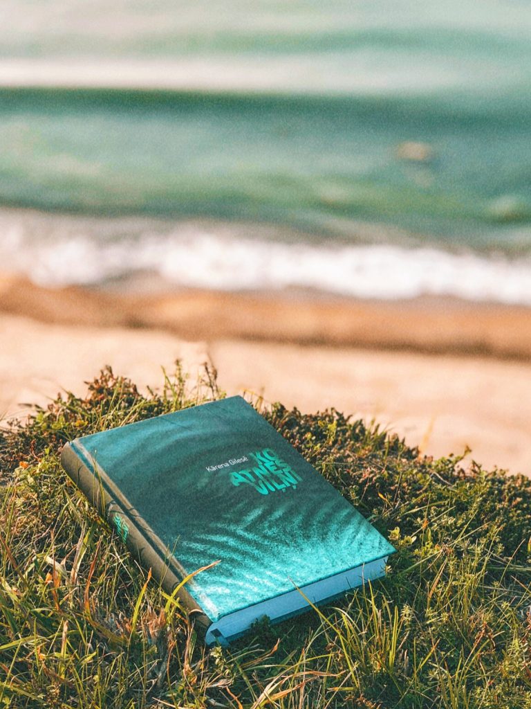 Kārena Gilesē «Ko atnes viļņi»