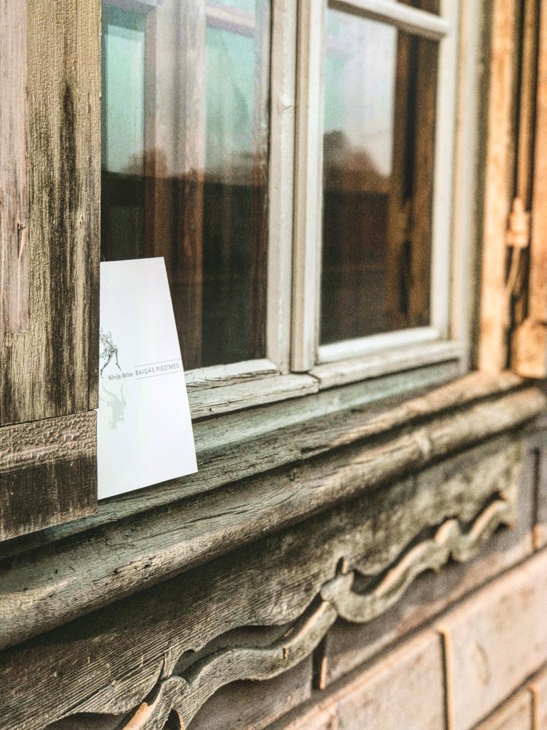 Silvija Brice «Baigās piezīmes»